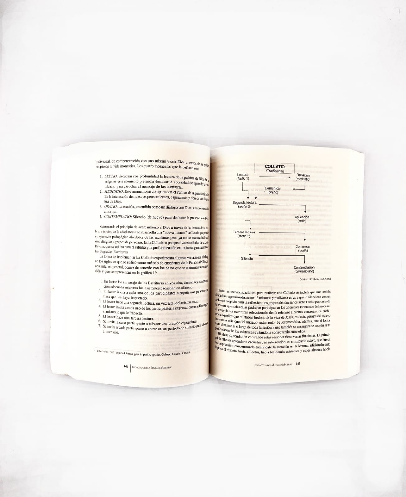 La didáctica de la lengua materna -estado de la discusión en Colombia-