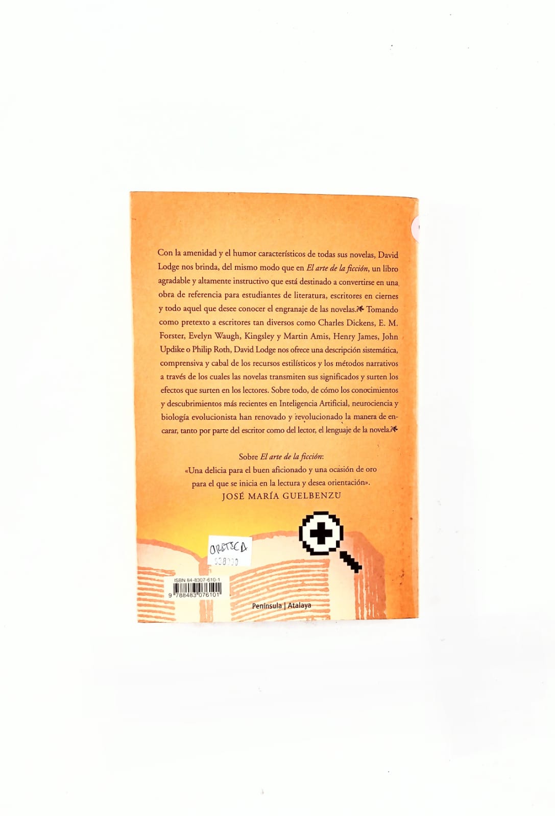 La conciencia y la novela