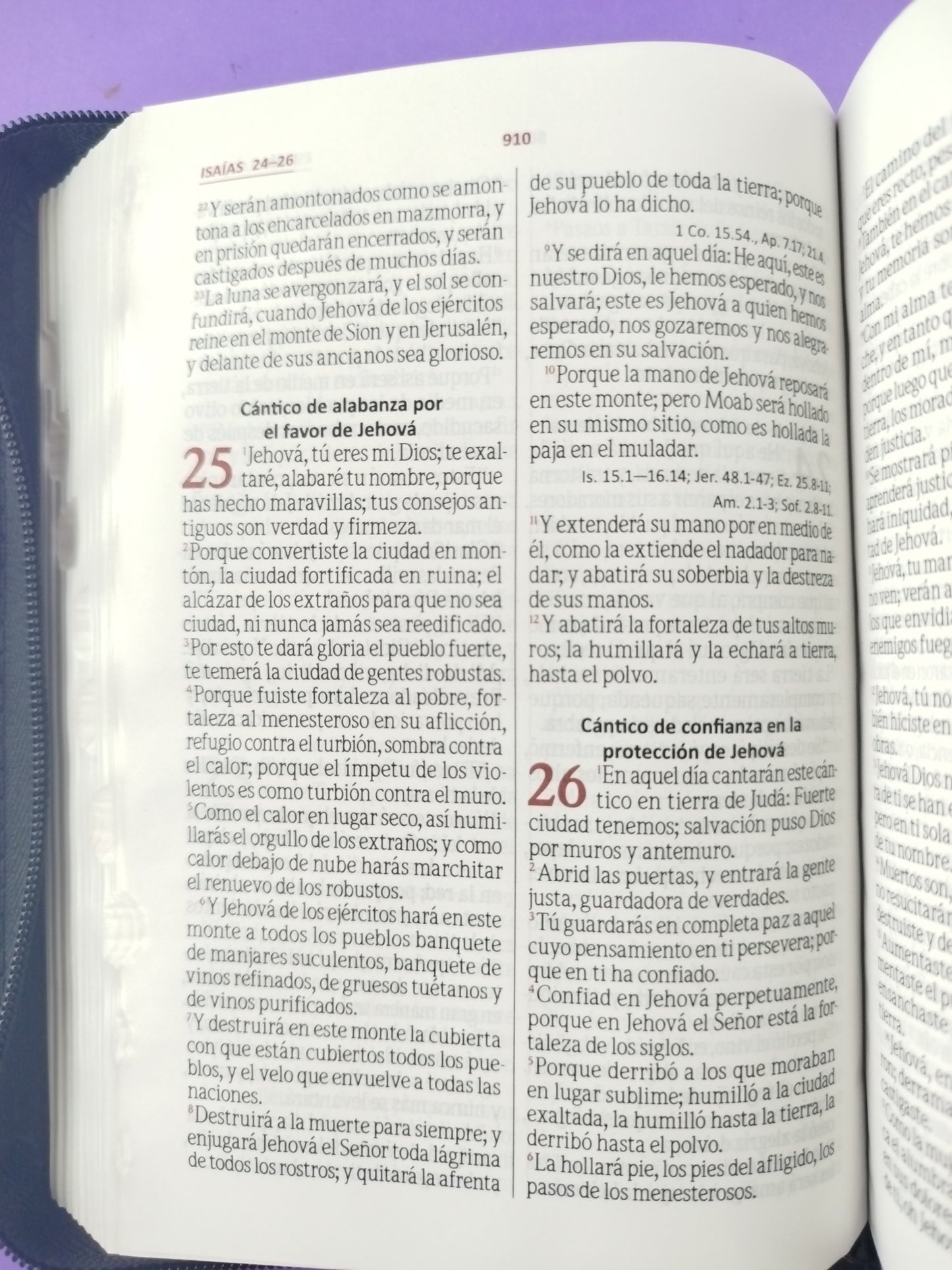 Biblia rvr 60 negro sello azul con índice