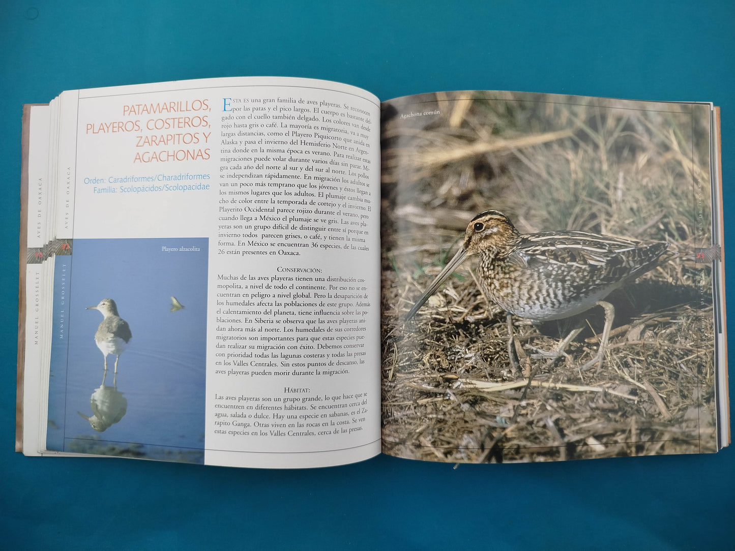 Aves de Oaxaca by Manuel Grosselet