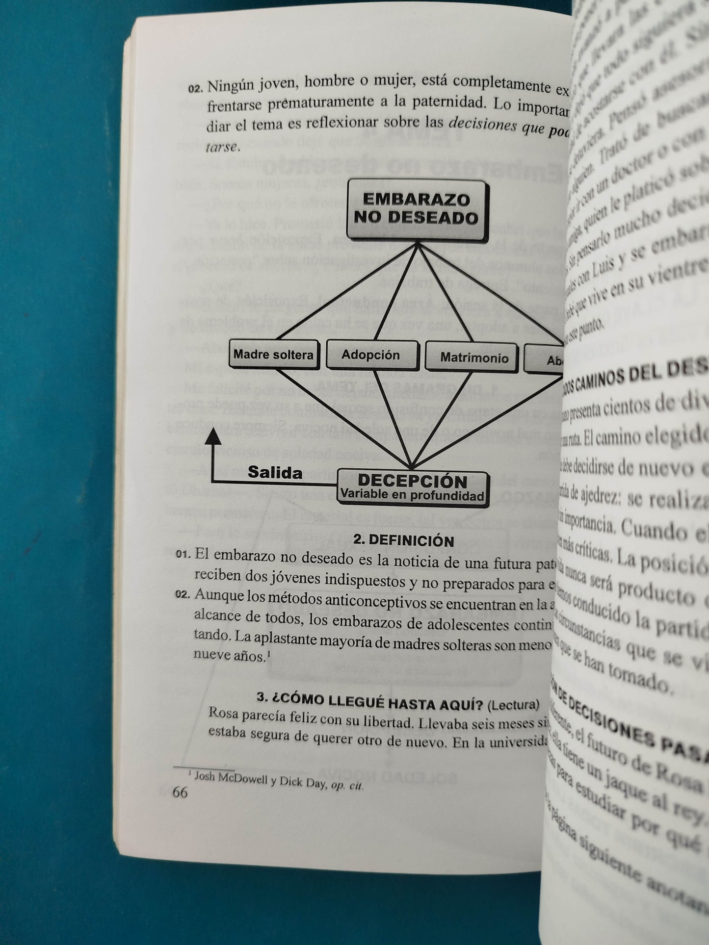 Juventud en éxtasis 2