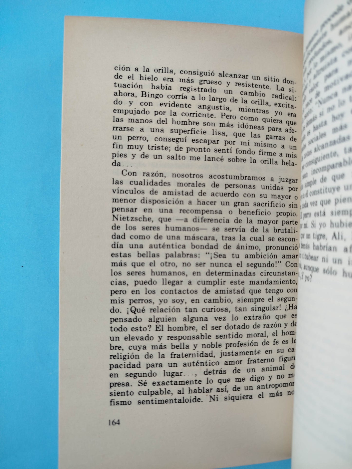 Cuando el hombre encontró al oerro