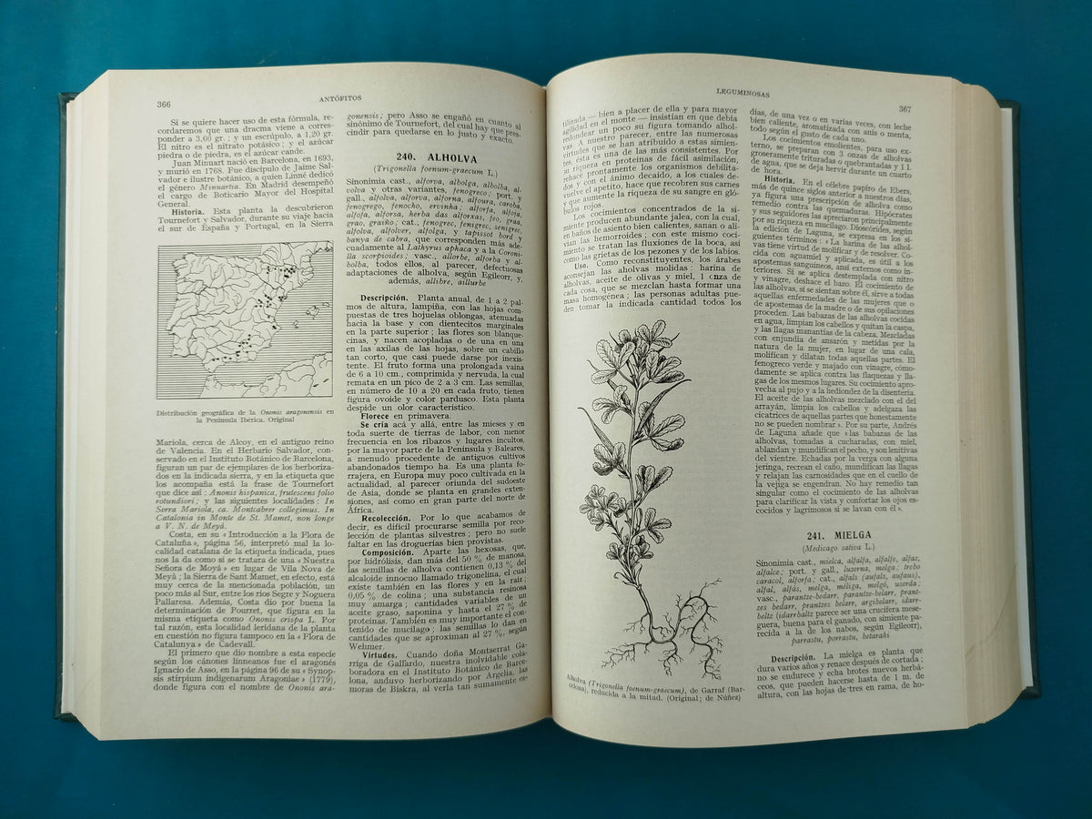 Plantas medicinales el Dioscórides renovado by Pío Font Quer
