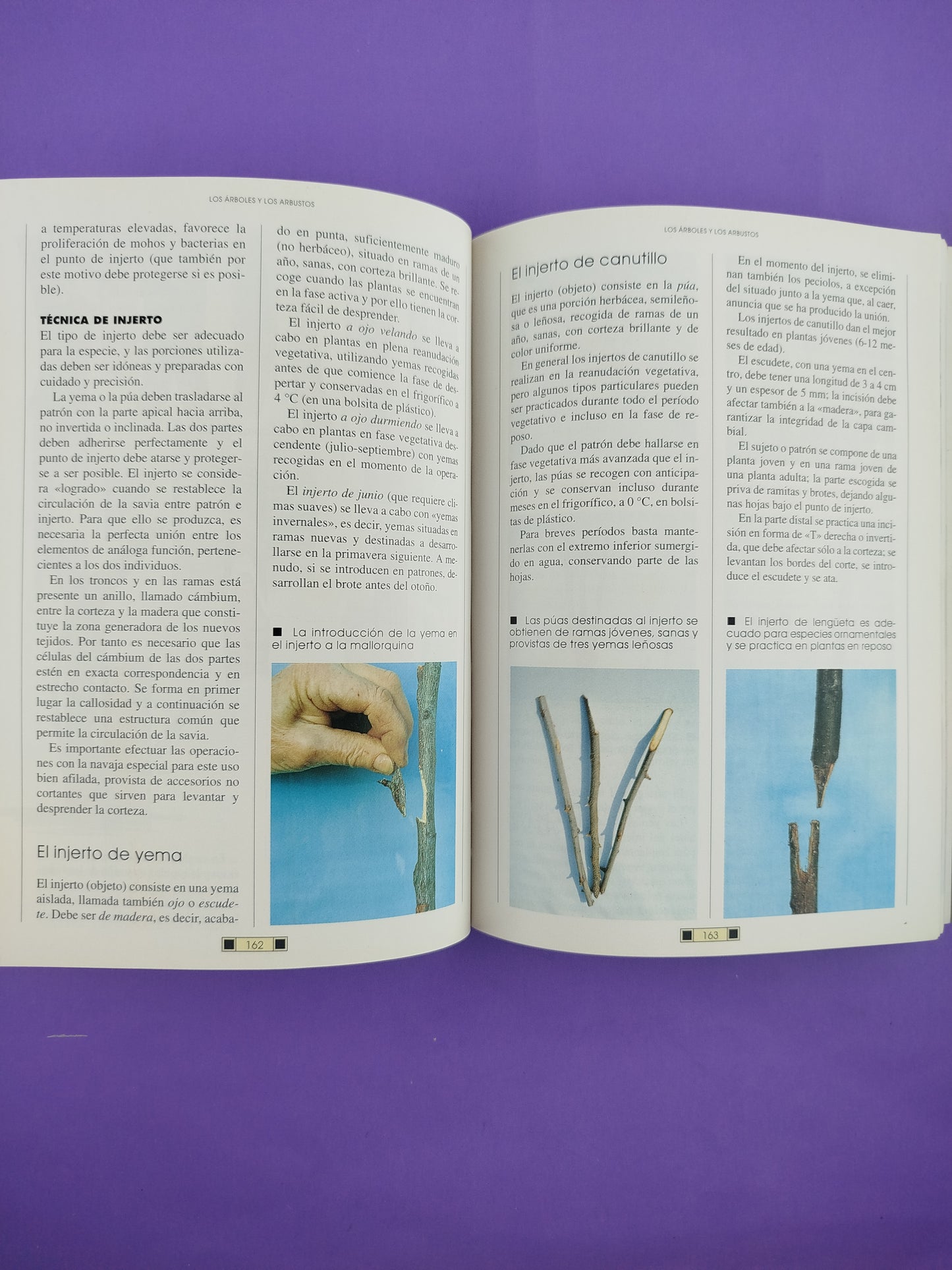 El Libro Del Jardín