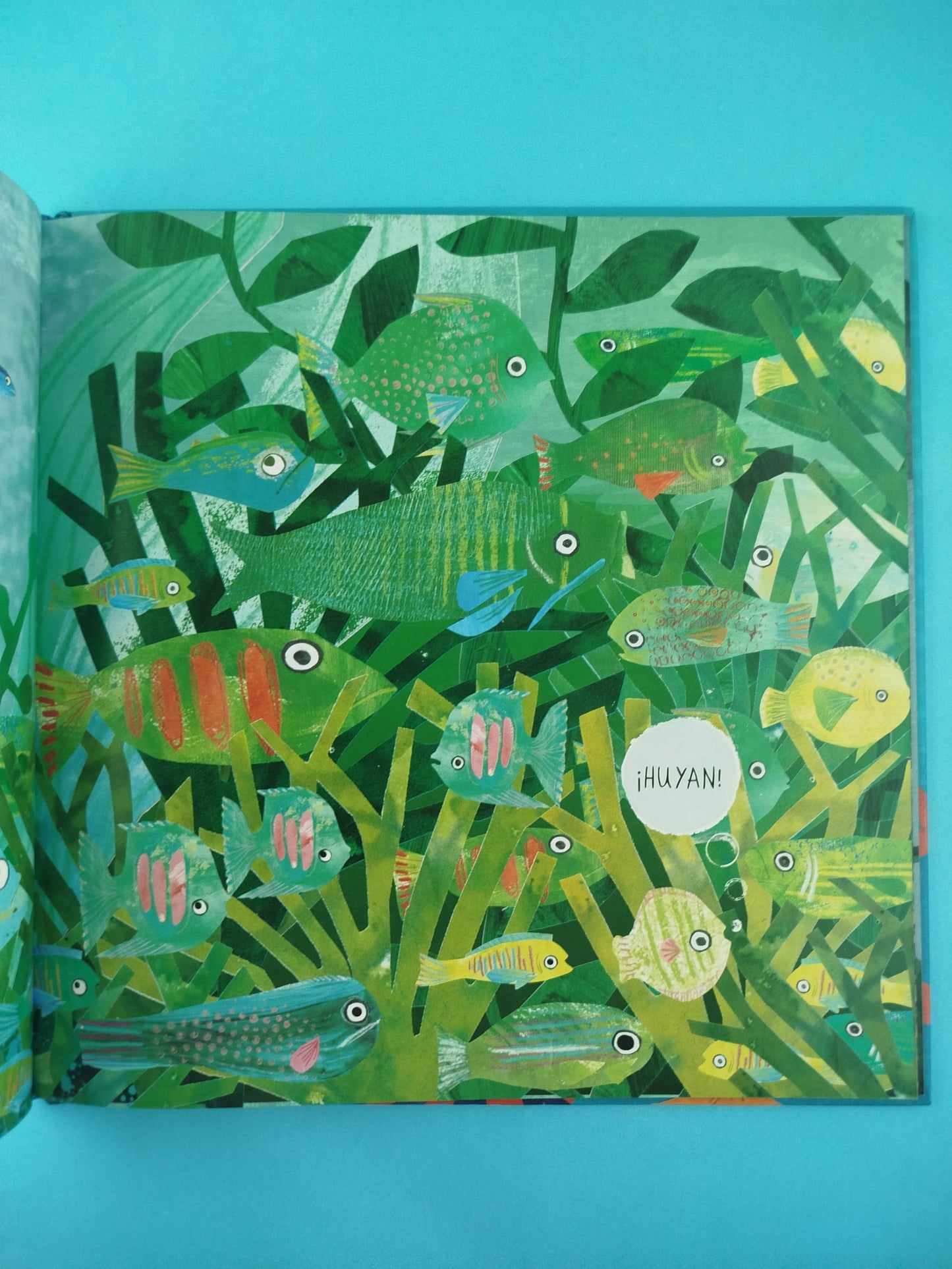 ¡Buu! Un misterio marino