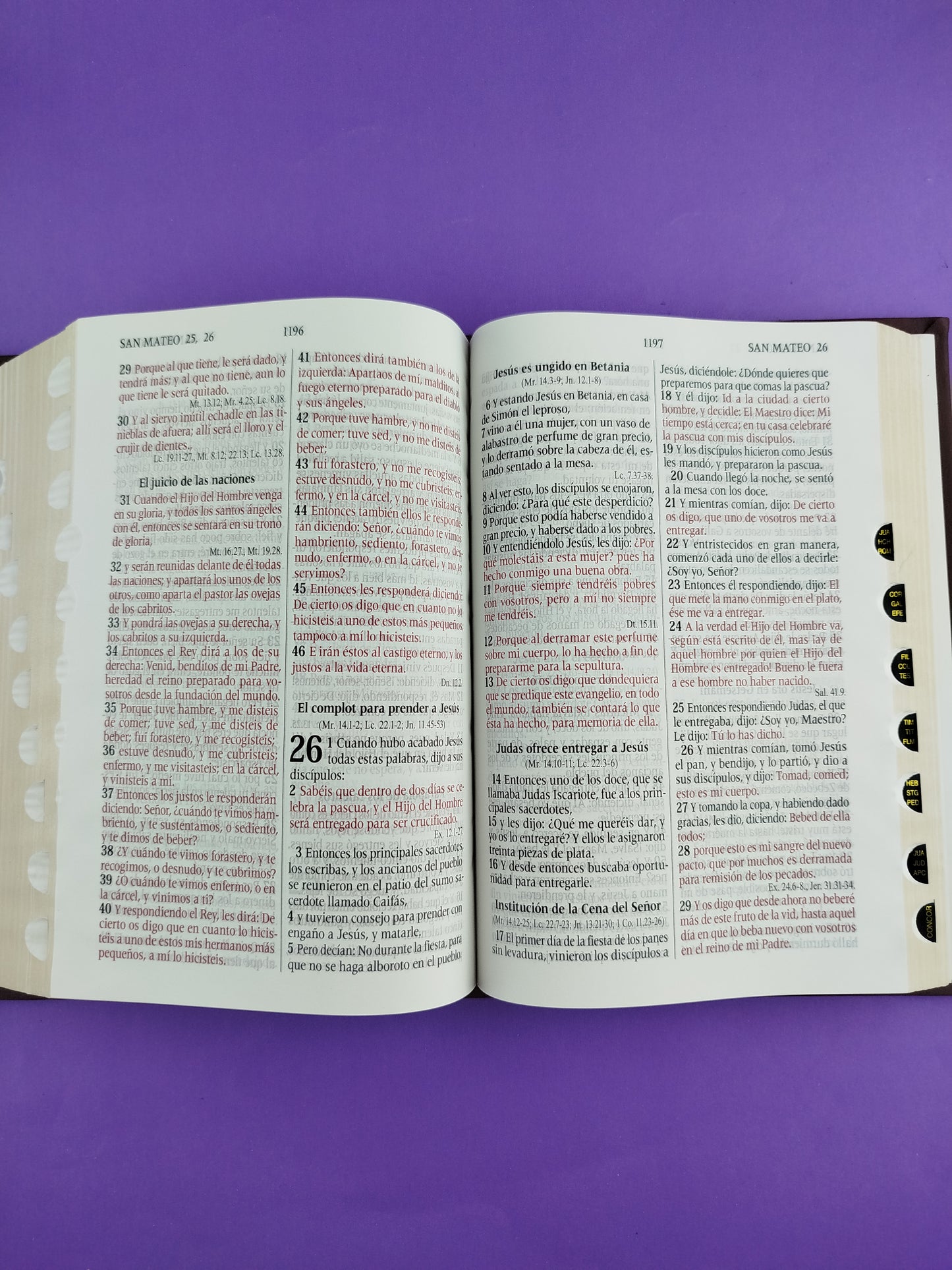 Santa biblia del oso conmemoración con índice