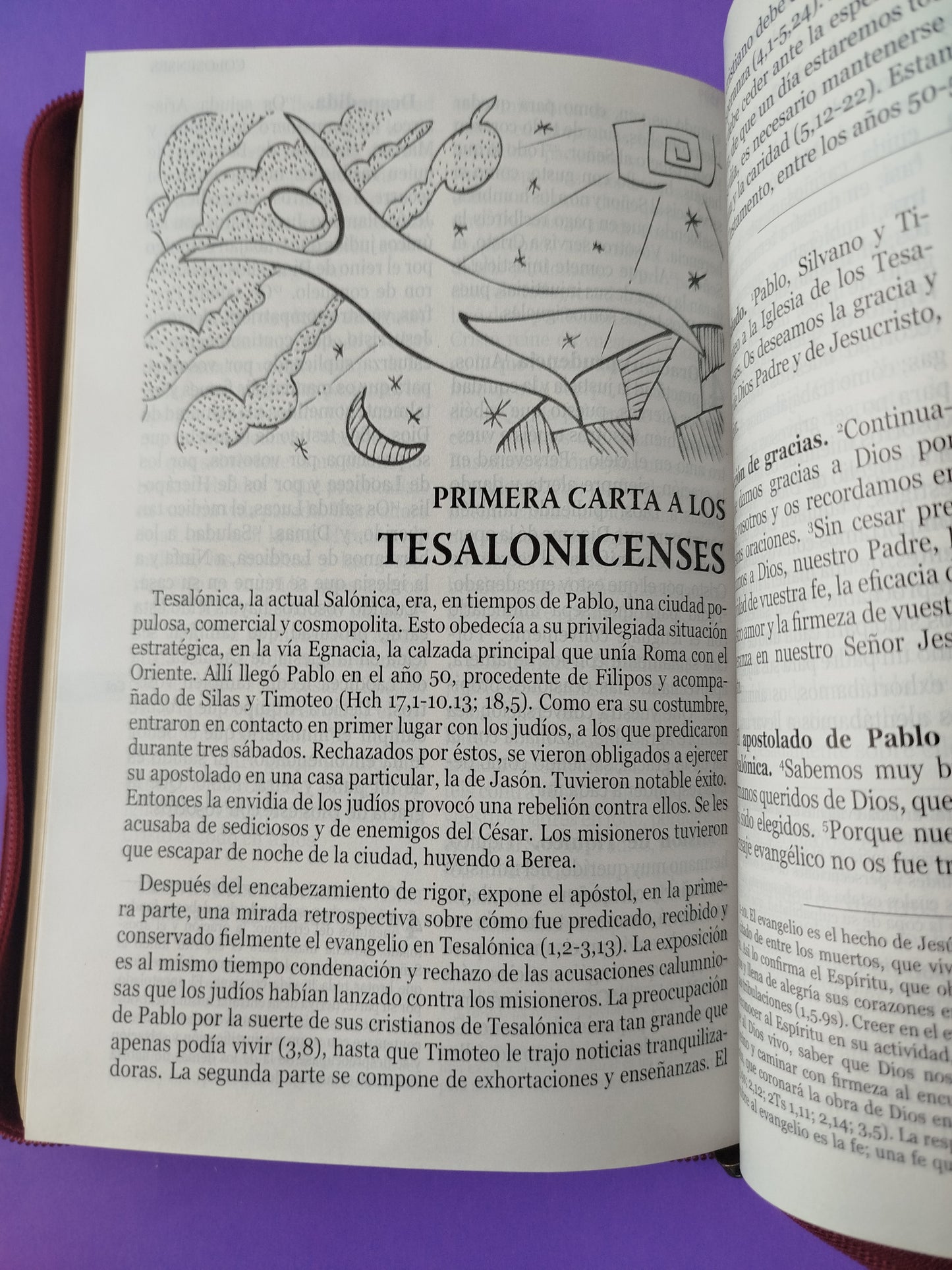 Nuestra sagrada biblia letra grande misión continental roja