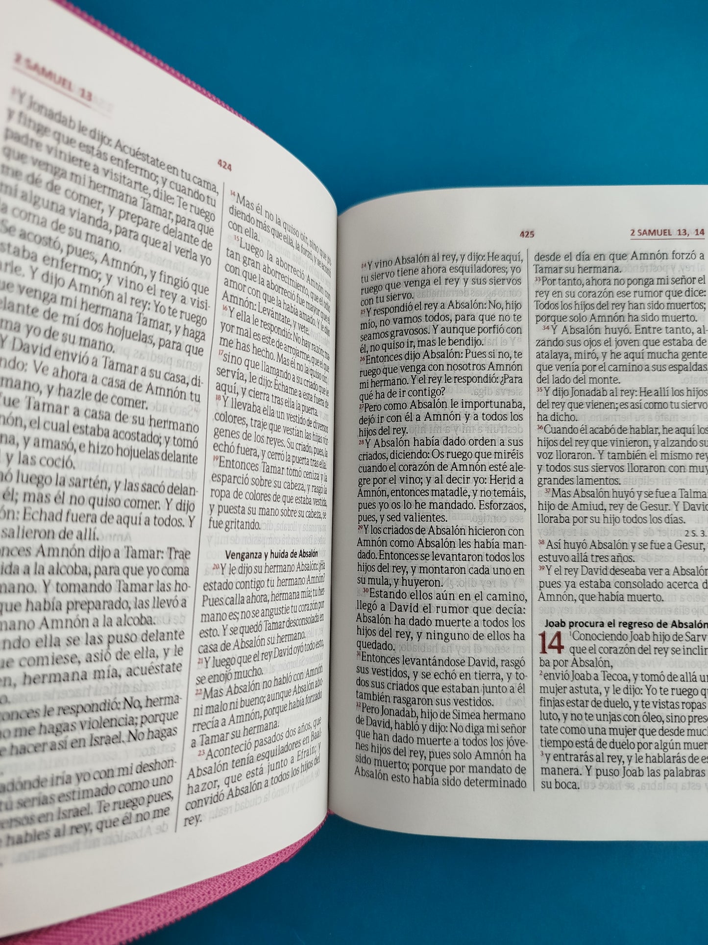 Biblia rvr troquelada fucsia rosa