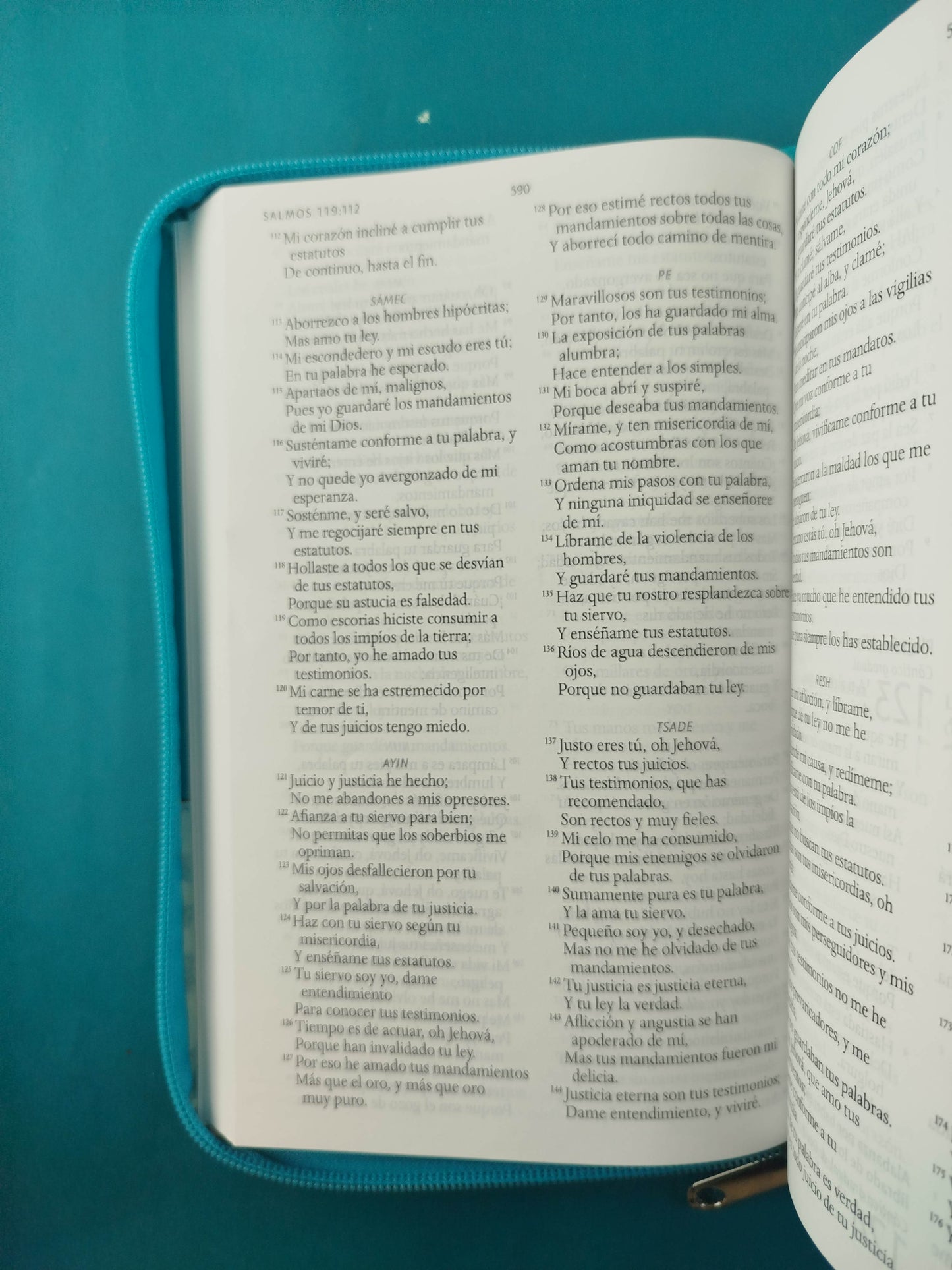 Biblia RVR 1960 Letra Grande con Estuche Azul Turquesa Nacarado