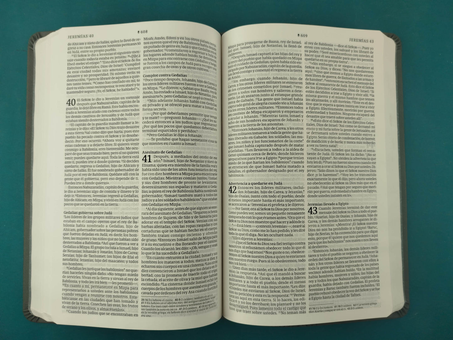 Biblia NTV Filament Gris