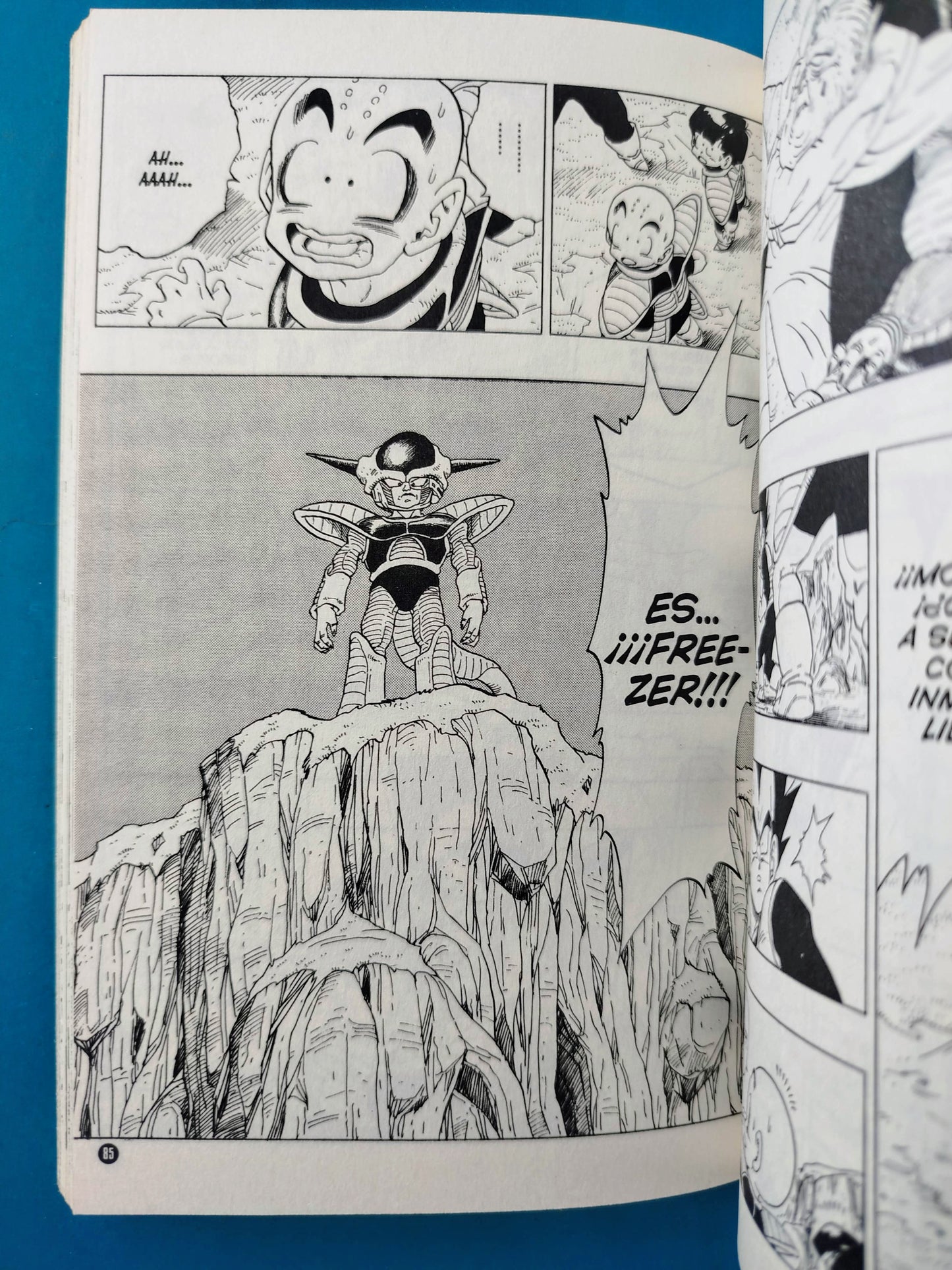 Dragon ball Z N.25