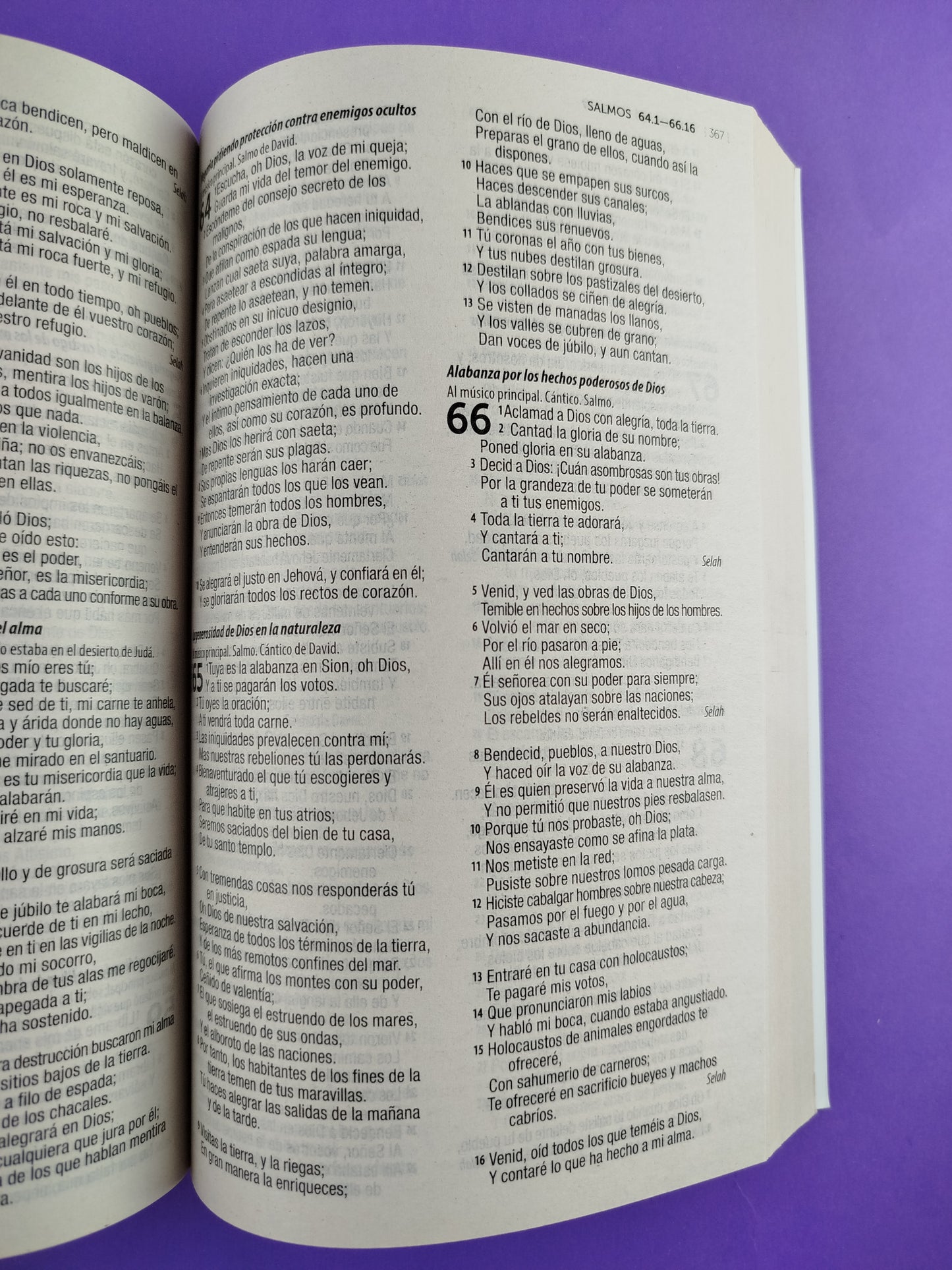 Biblia rvr 1960 misionera azul claro - rosado