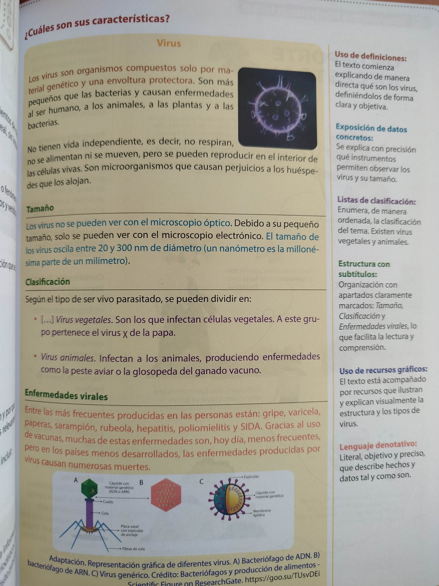 Ideas lenguaje 6 by varios