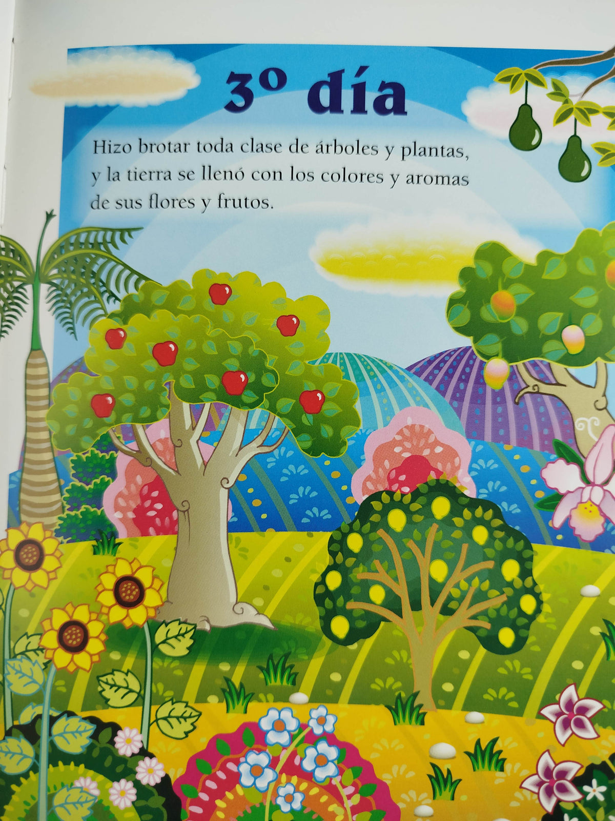 Mi biblia historias de la biblia by Varios