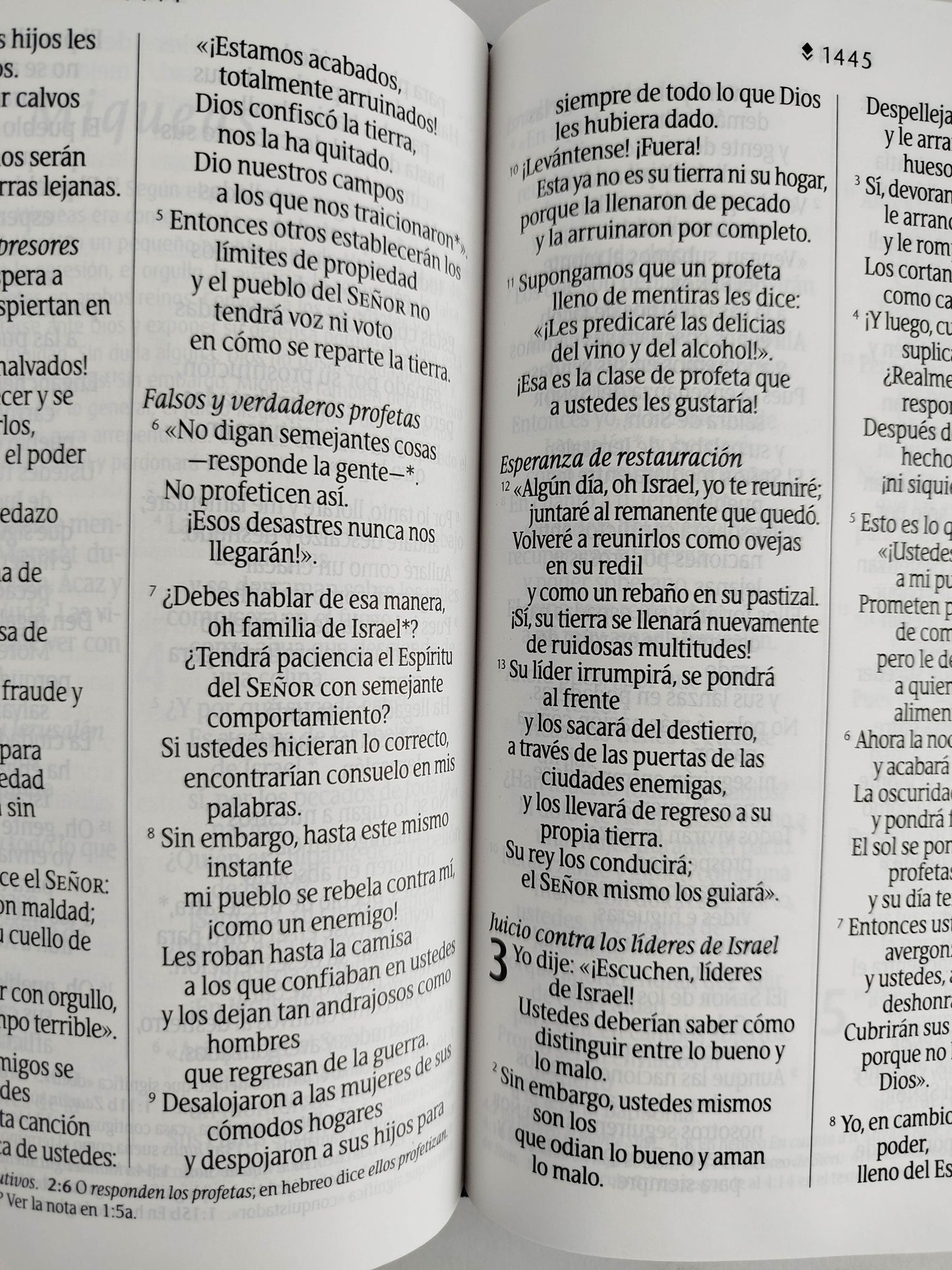 Biblia NTV azul flores letra grande by Nueva Traducción Viviente