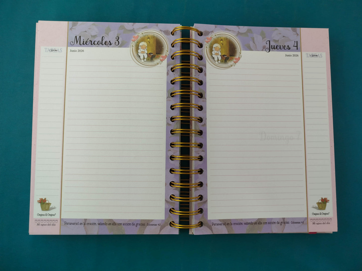 Agenda Ovejitas 2026 En Ti Confio Señor rosa-azul