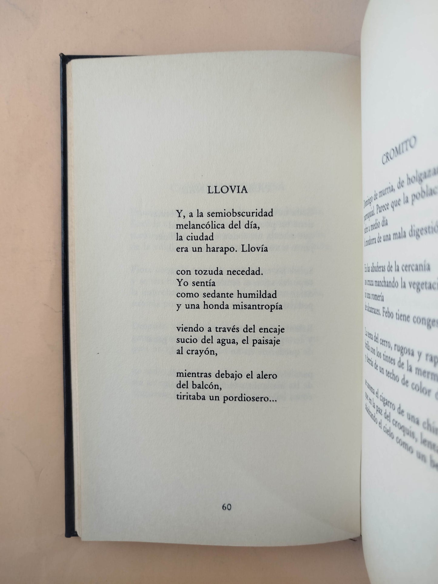 Obra poética Luis Carlos López