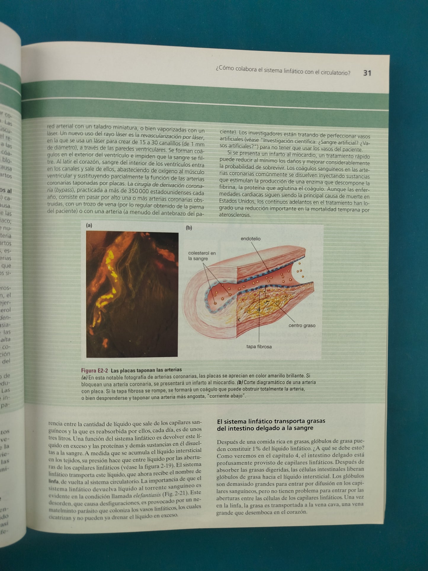 Biología anatomía y fisiología animal sexta edición