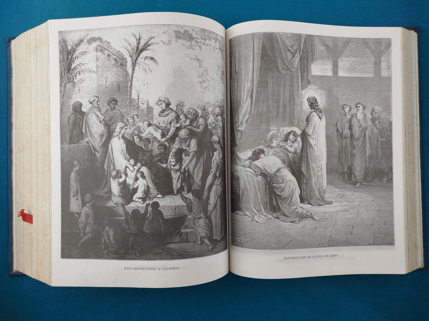 La Sagrada Biblia De La Paz