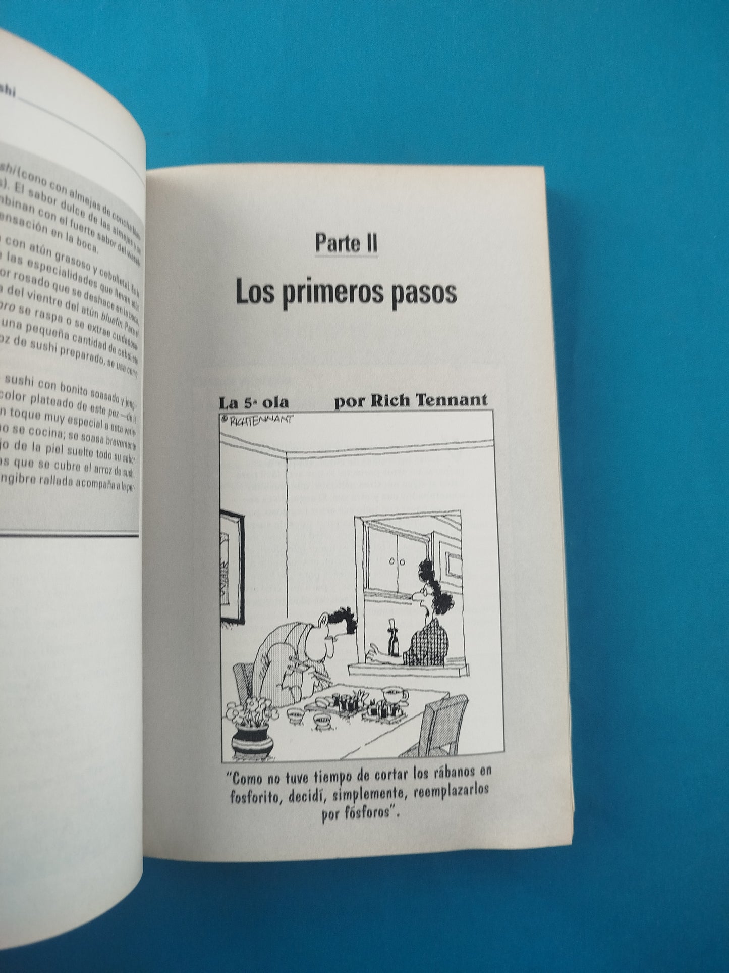 Sushi Para Dummies