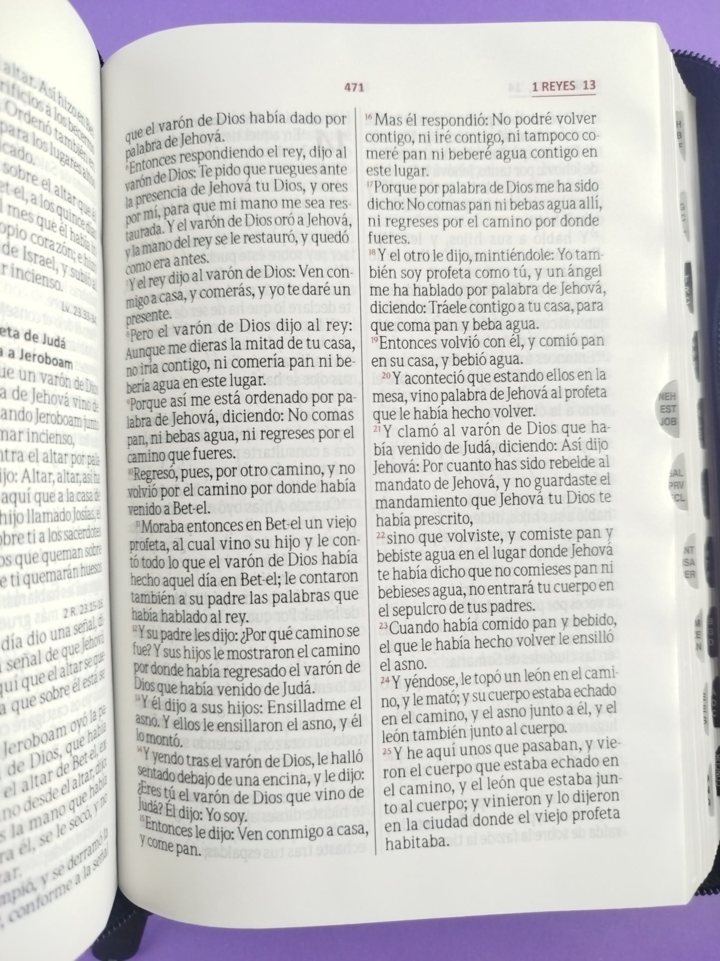 Biblia rvr 60 negro sello azul con índice