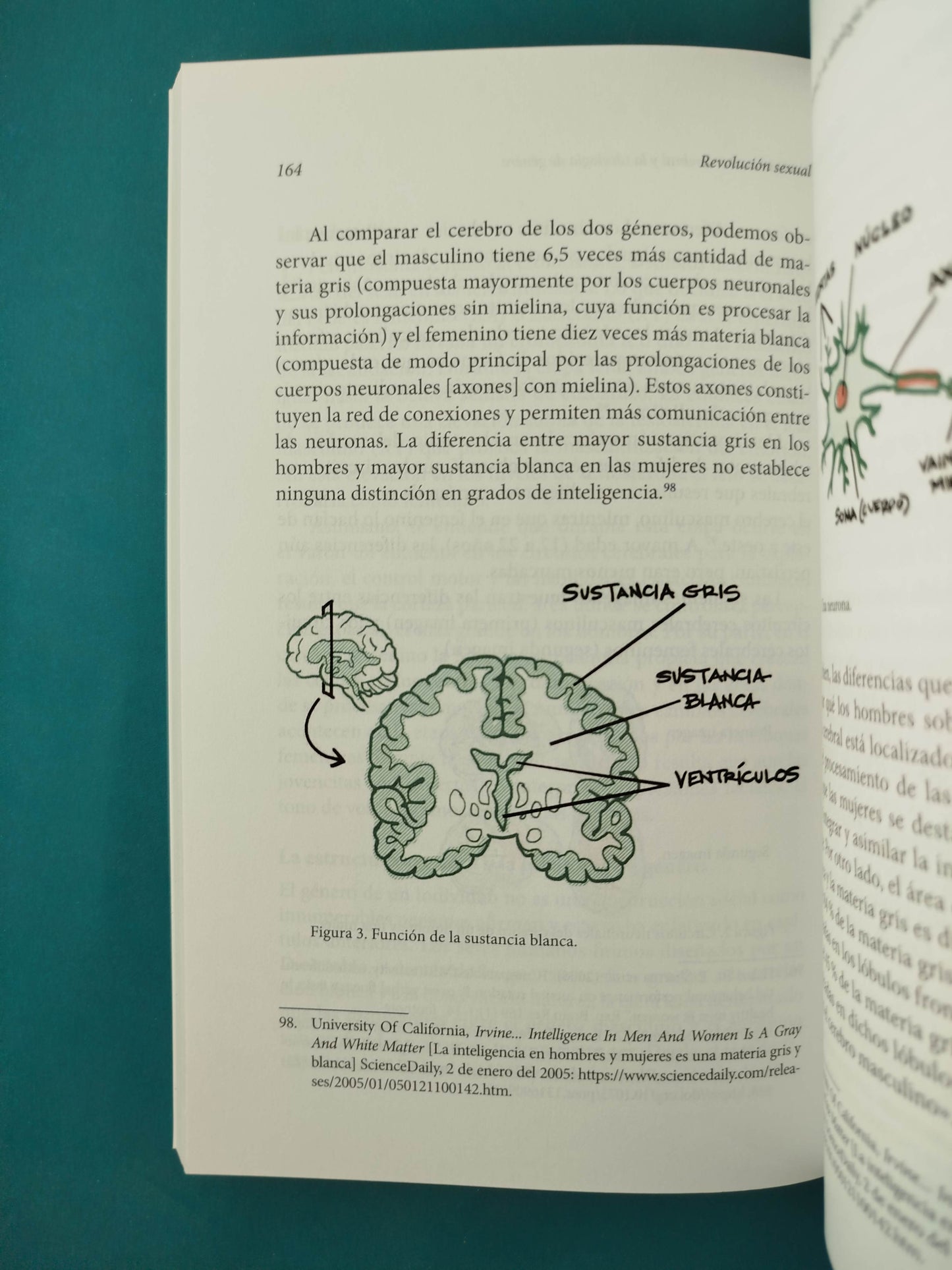 Revolución sexual una perspectiva bíblica y un análisis médico