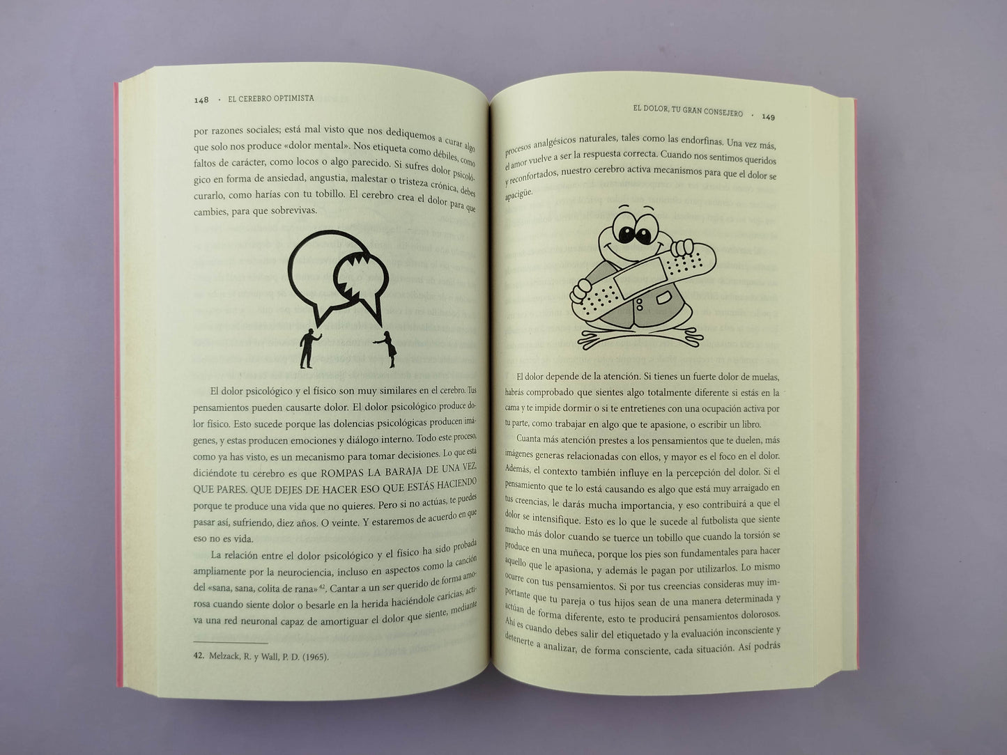 El cerebro optimista