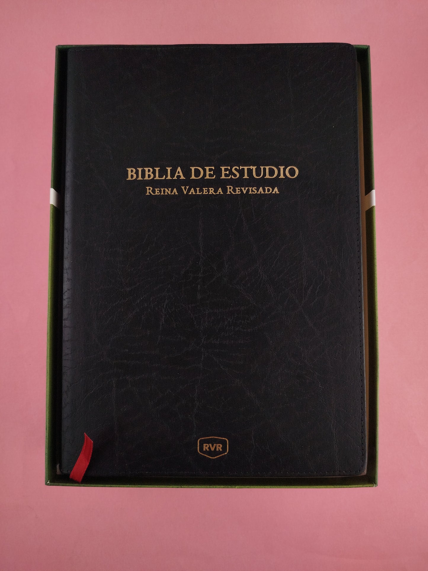 Biblia De Estudio Reina Valera Revisada
