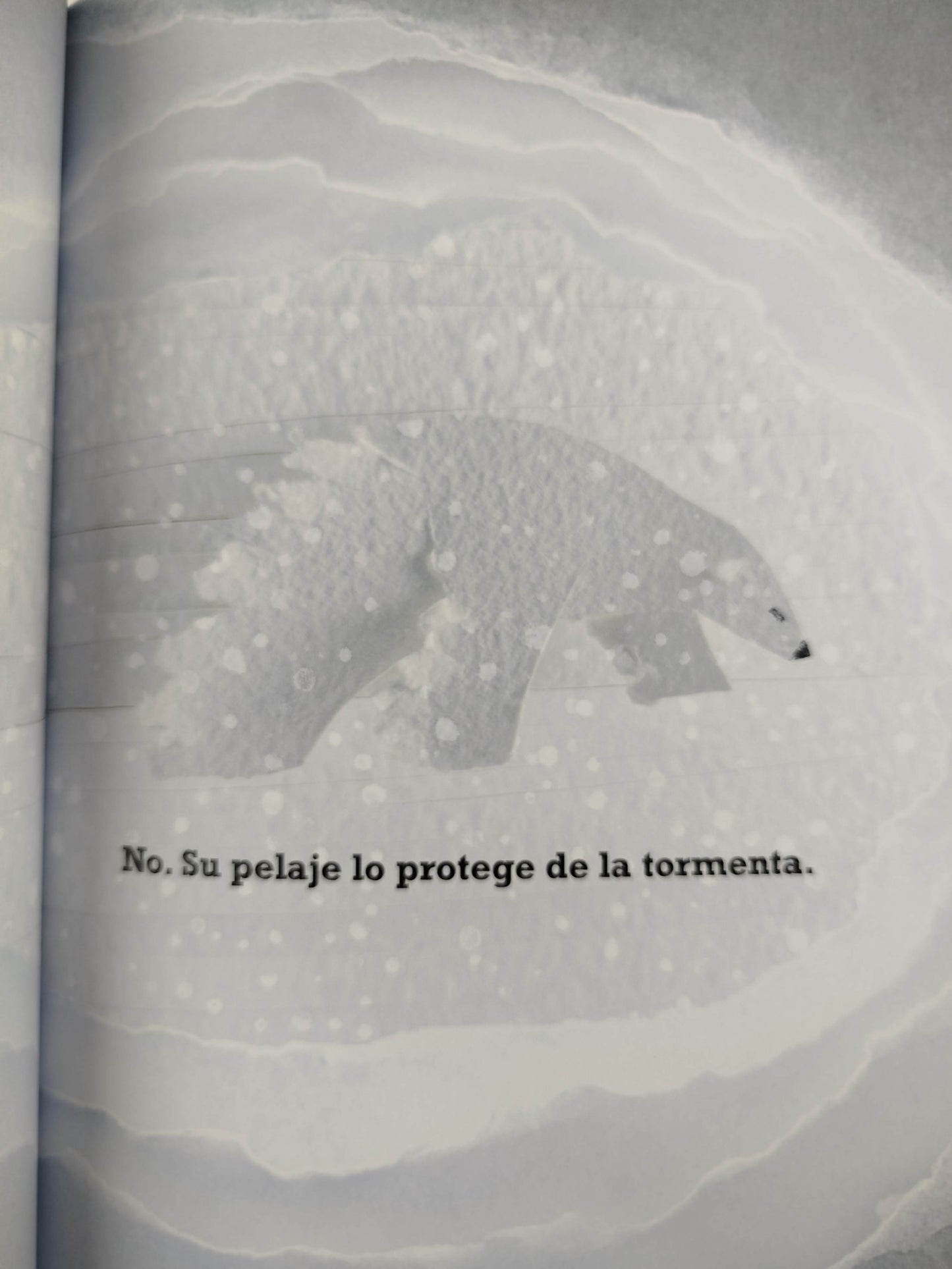 Un Oso Polar En La Nieve by Mac Barnett
