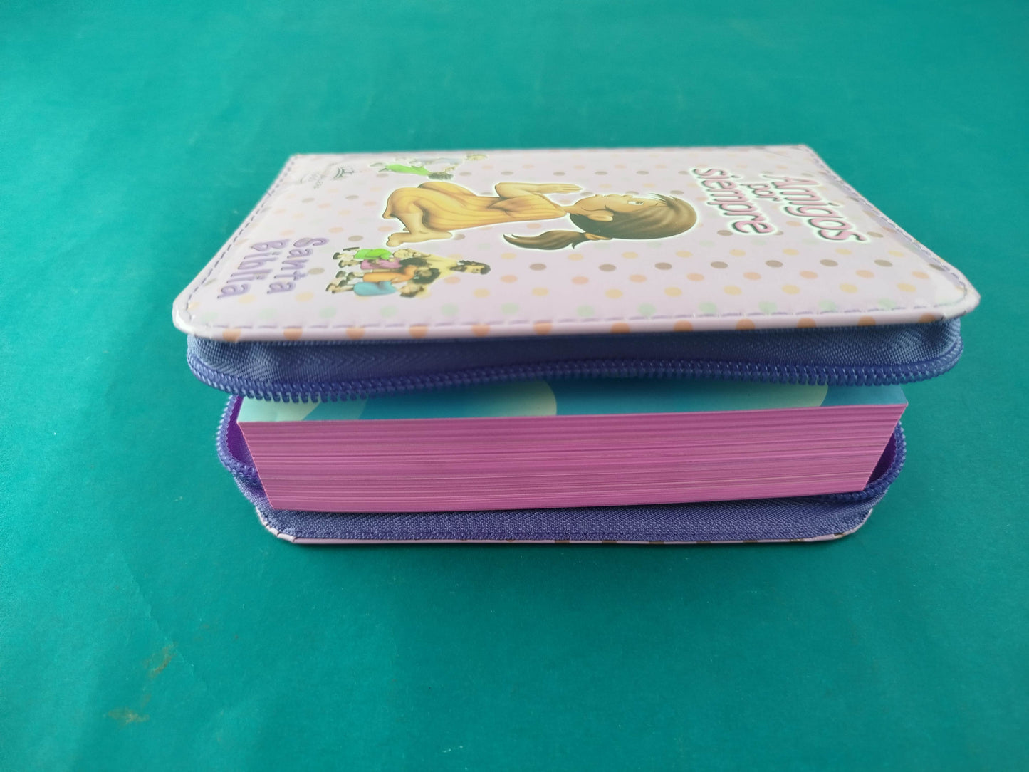 Biblia amigos por siempre rosado con estuche