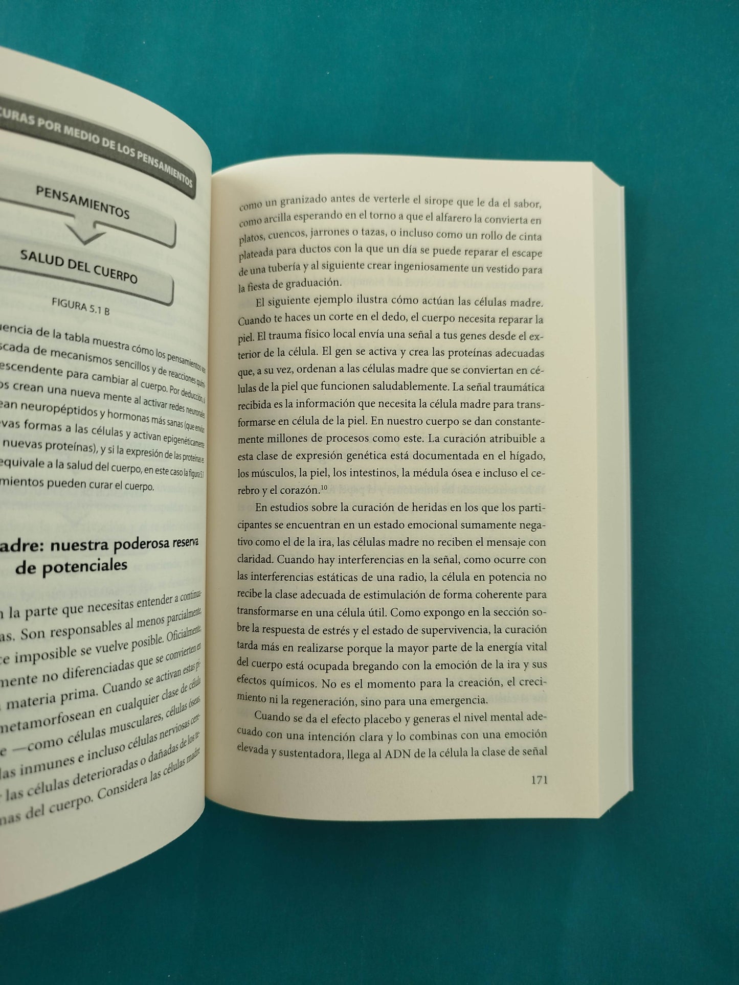 El placebo eres tú