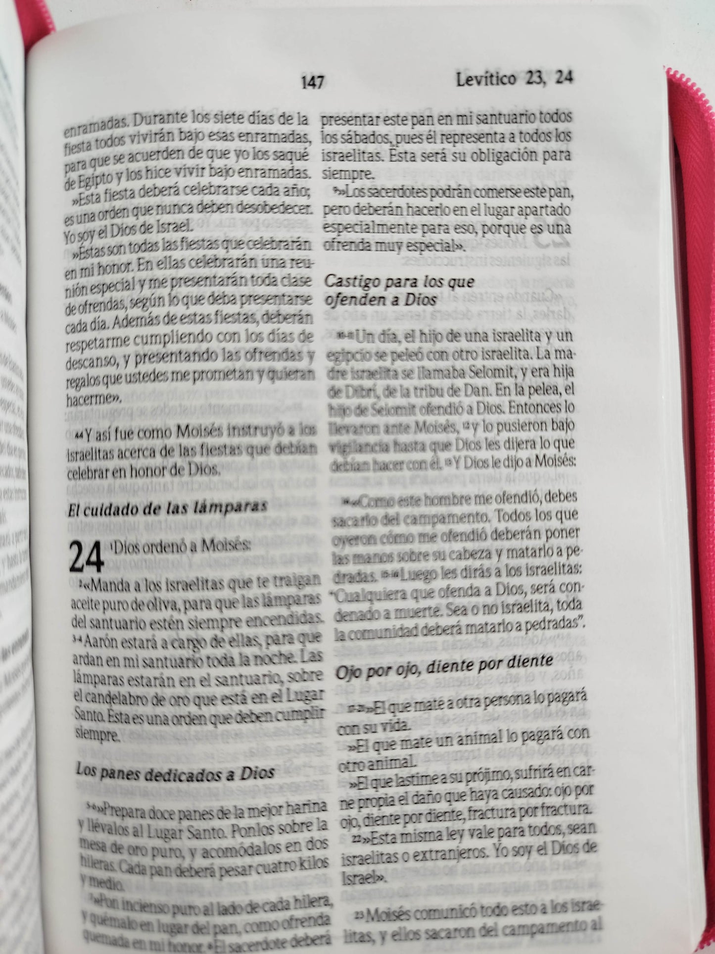 Biblia traducción al lenguaje actual fucsia canto plateado by Varios