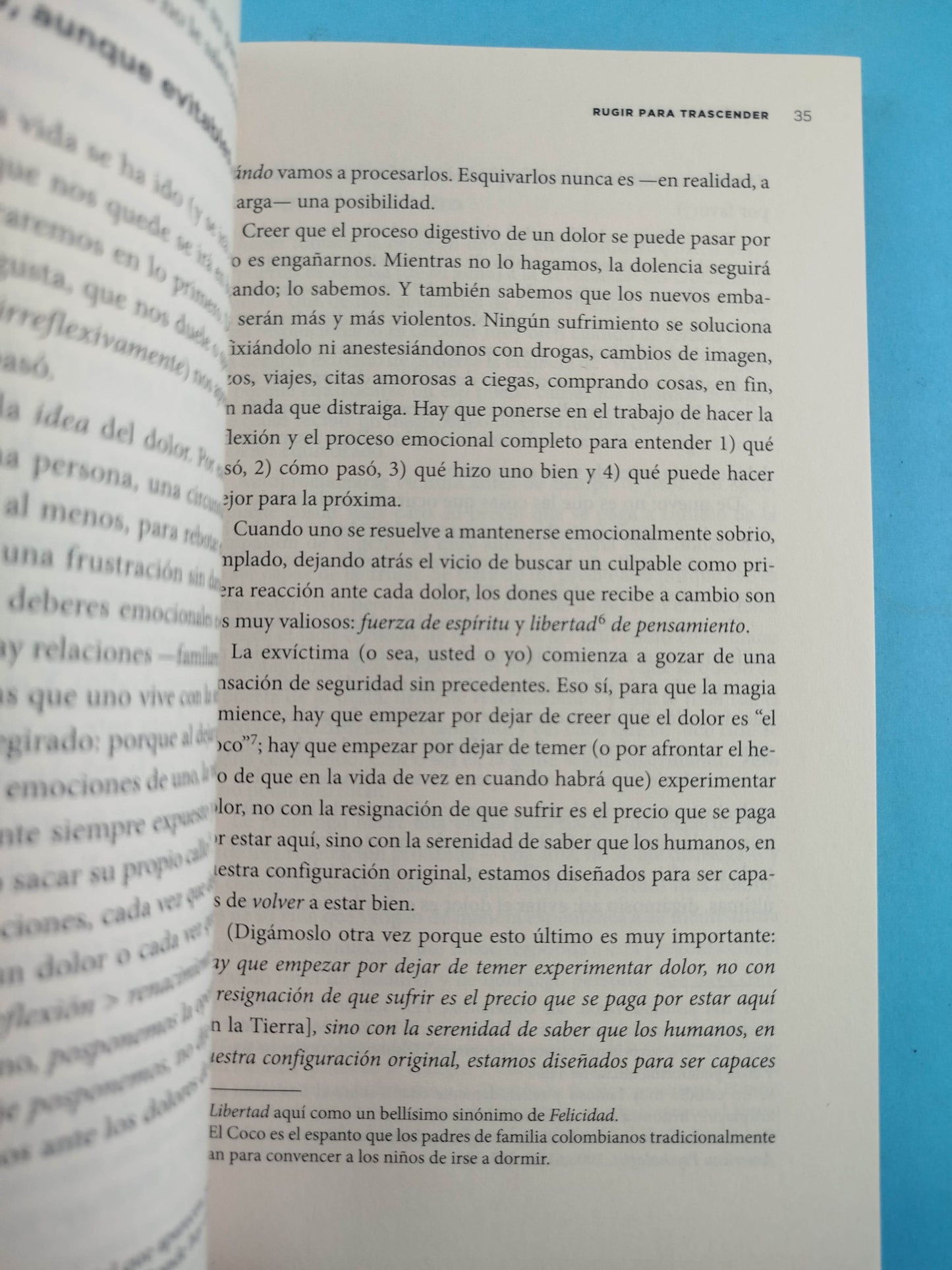 Manifiesto de felicidad by Sylvia Ramírez