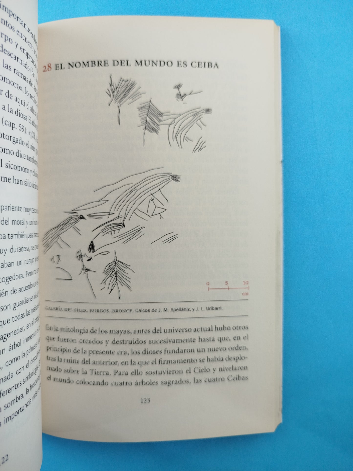 El gran árbol de la humanidad