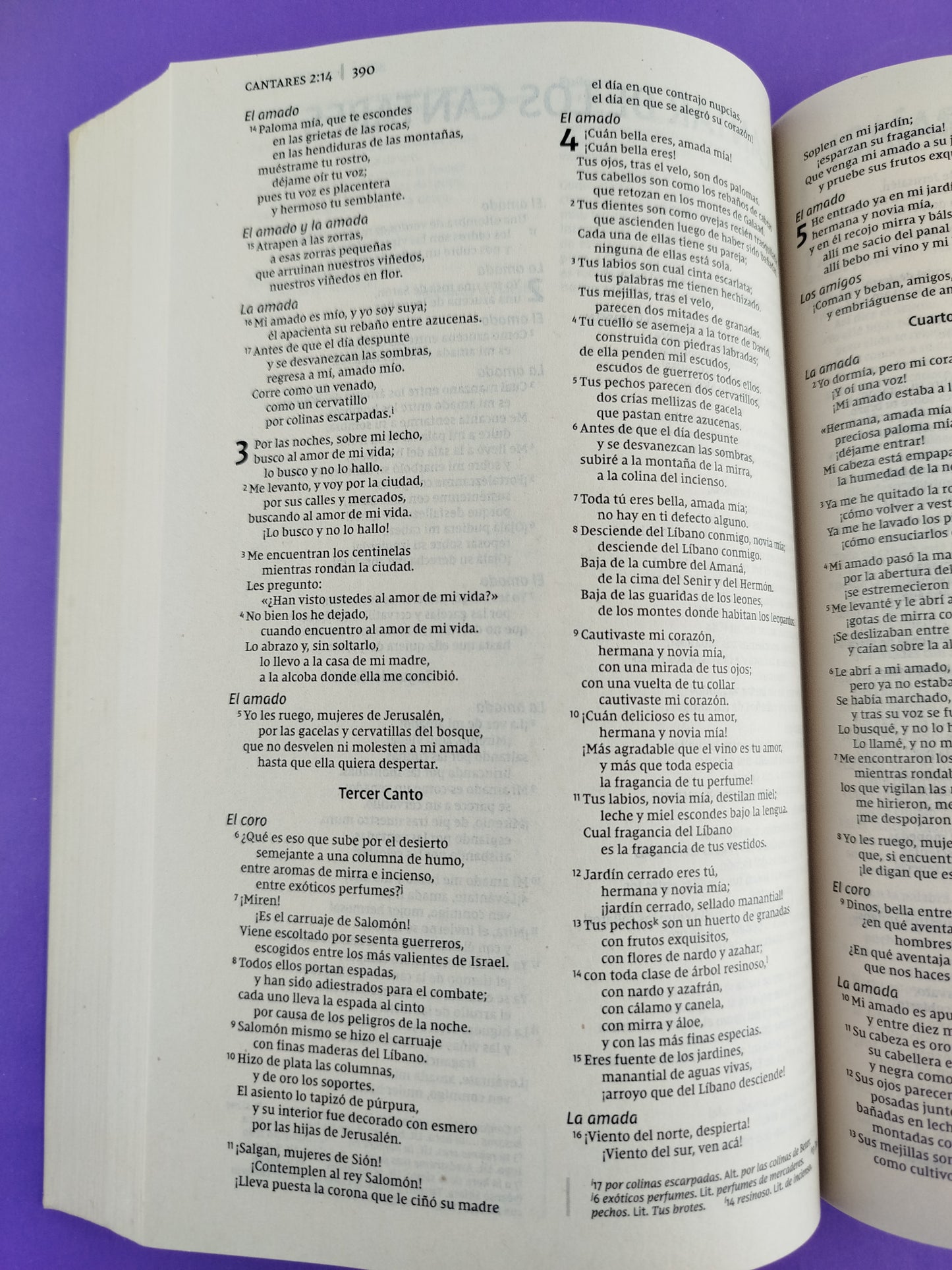 Biblia nvi misionera