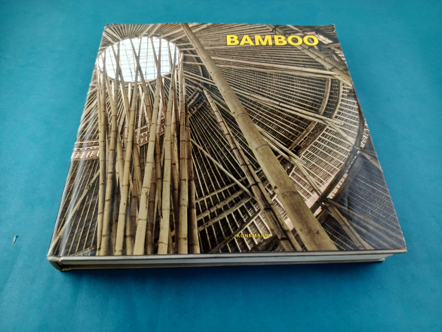 Bamboo