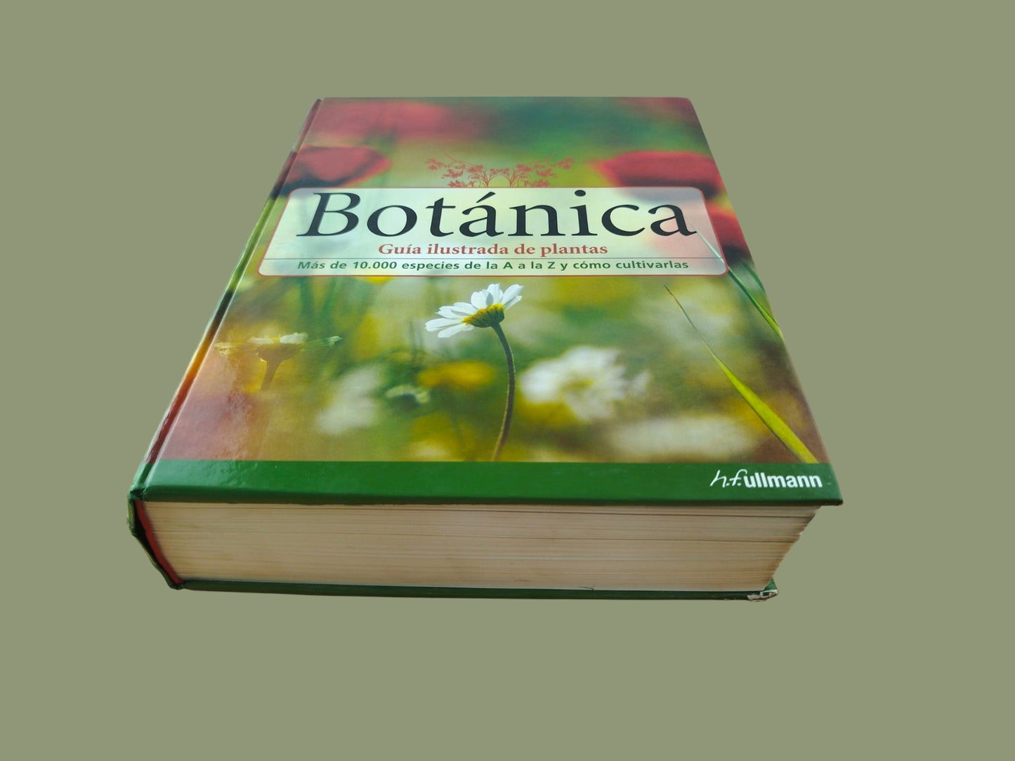 Botánica: guía ilustrada de plantas : más de 10.000 especies de la A a la Z y como cultivarlas