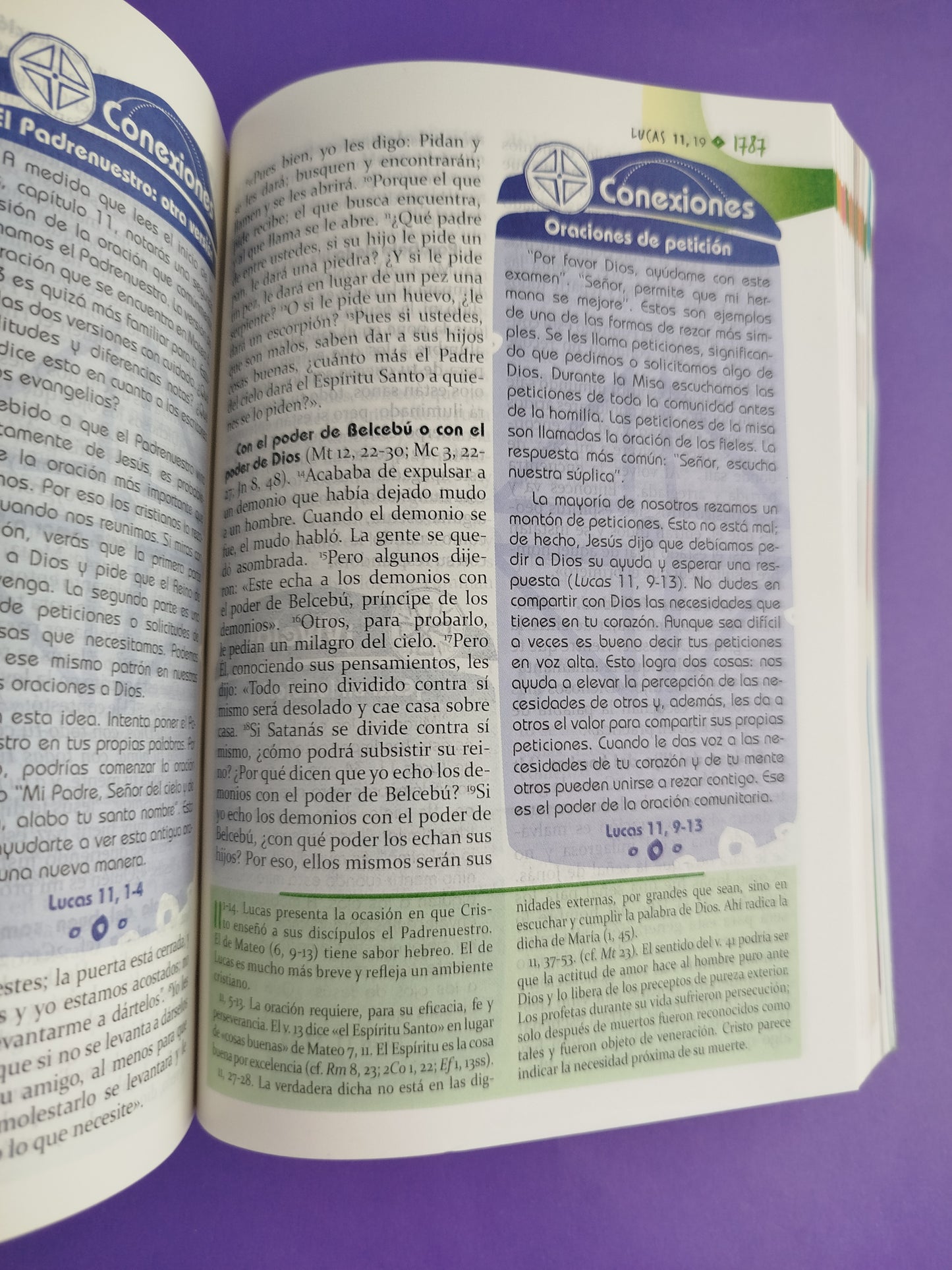 Biblia didáctica para jóvenes Rustica