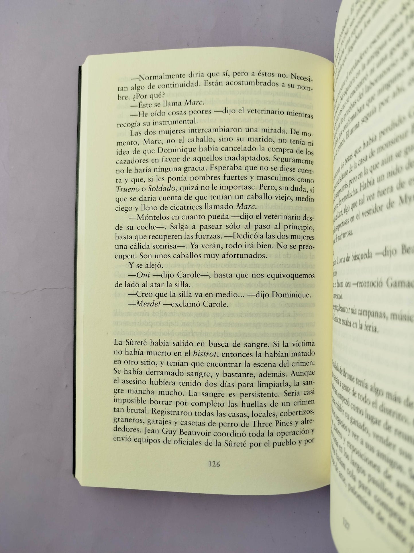 Un bello misterio