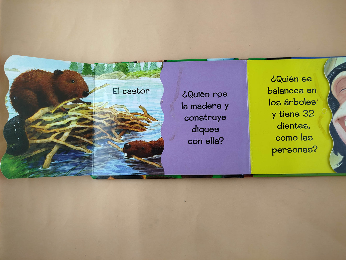 ¿De quién son estos dientes?