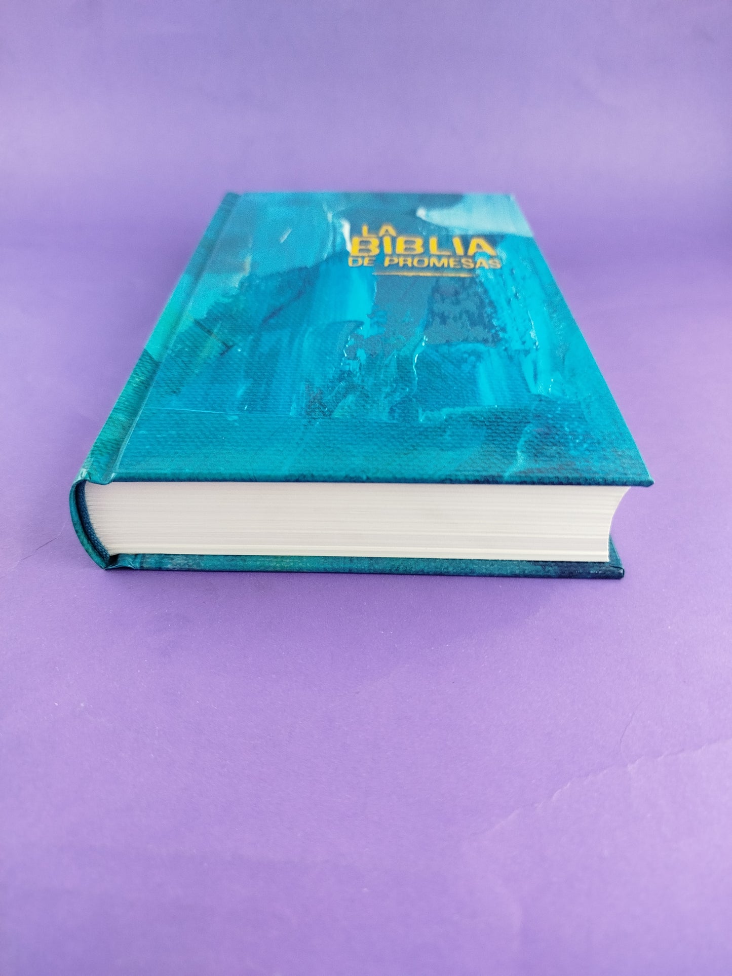 Biblia promesas nvi azul pasta dura by Nueva Versión Internacional