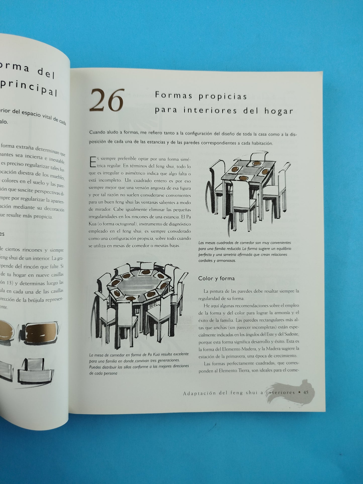 Feng Shui inteligente para el hogar- 188 ideas brillantes para dotar a su hogar de energía positiva