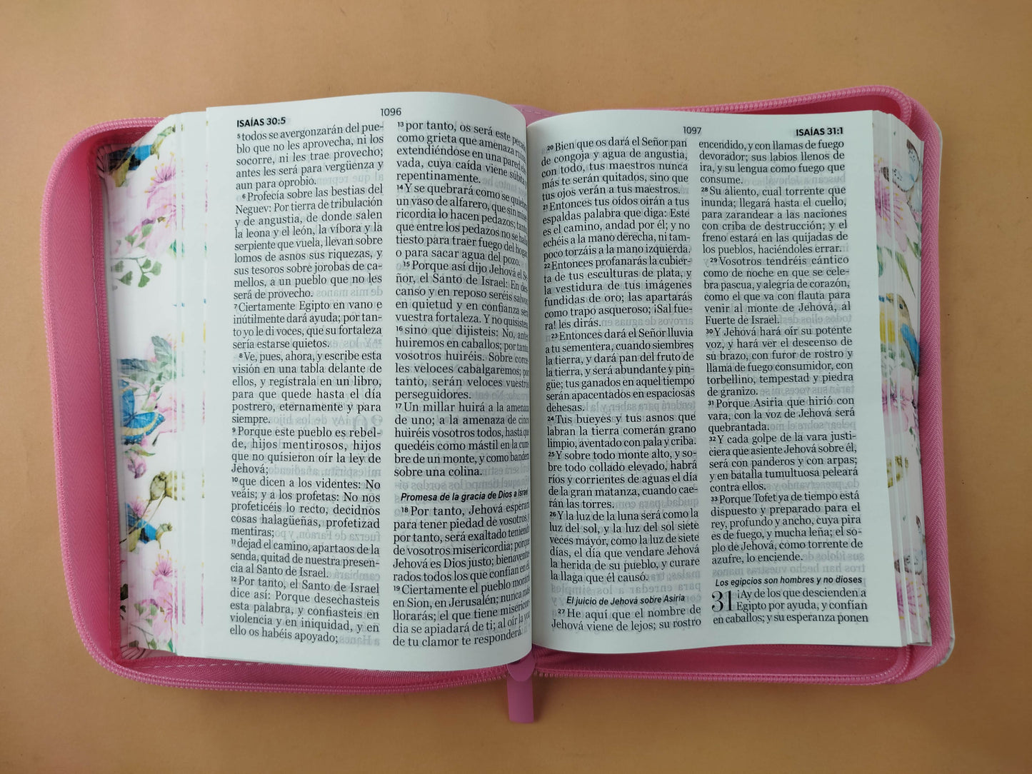 Biblia rvr 1960 colección primaveral letra grande rosada con cierre