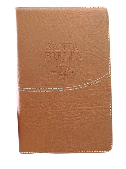 Biblia rvr 1960 letra grande estuche miel