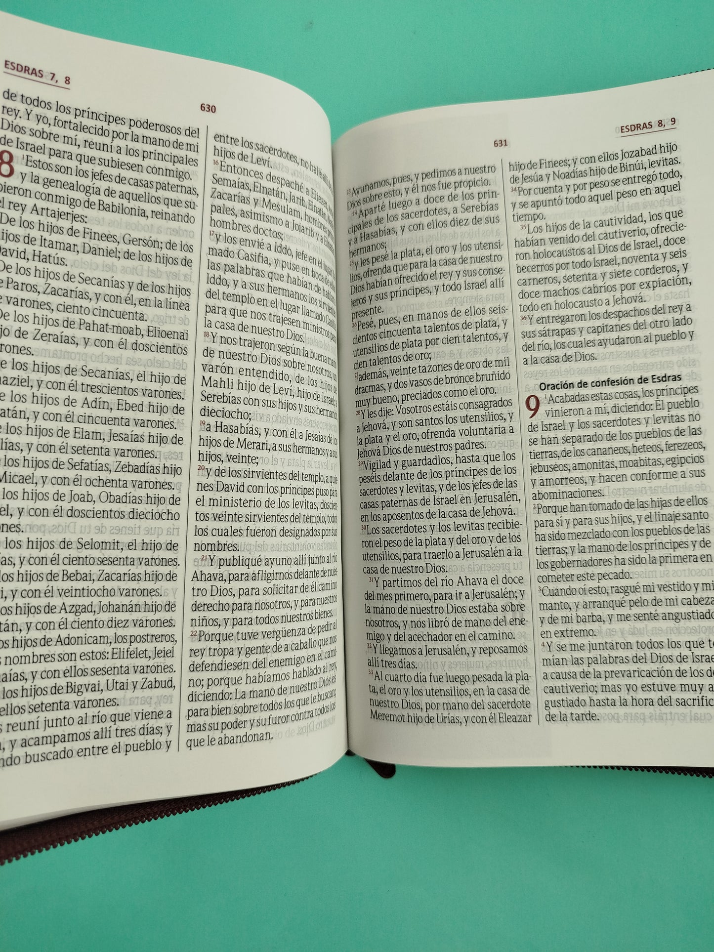 Biblia rvr 1960 vinotinto letra grande canto blanco