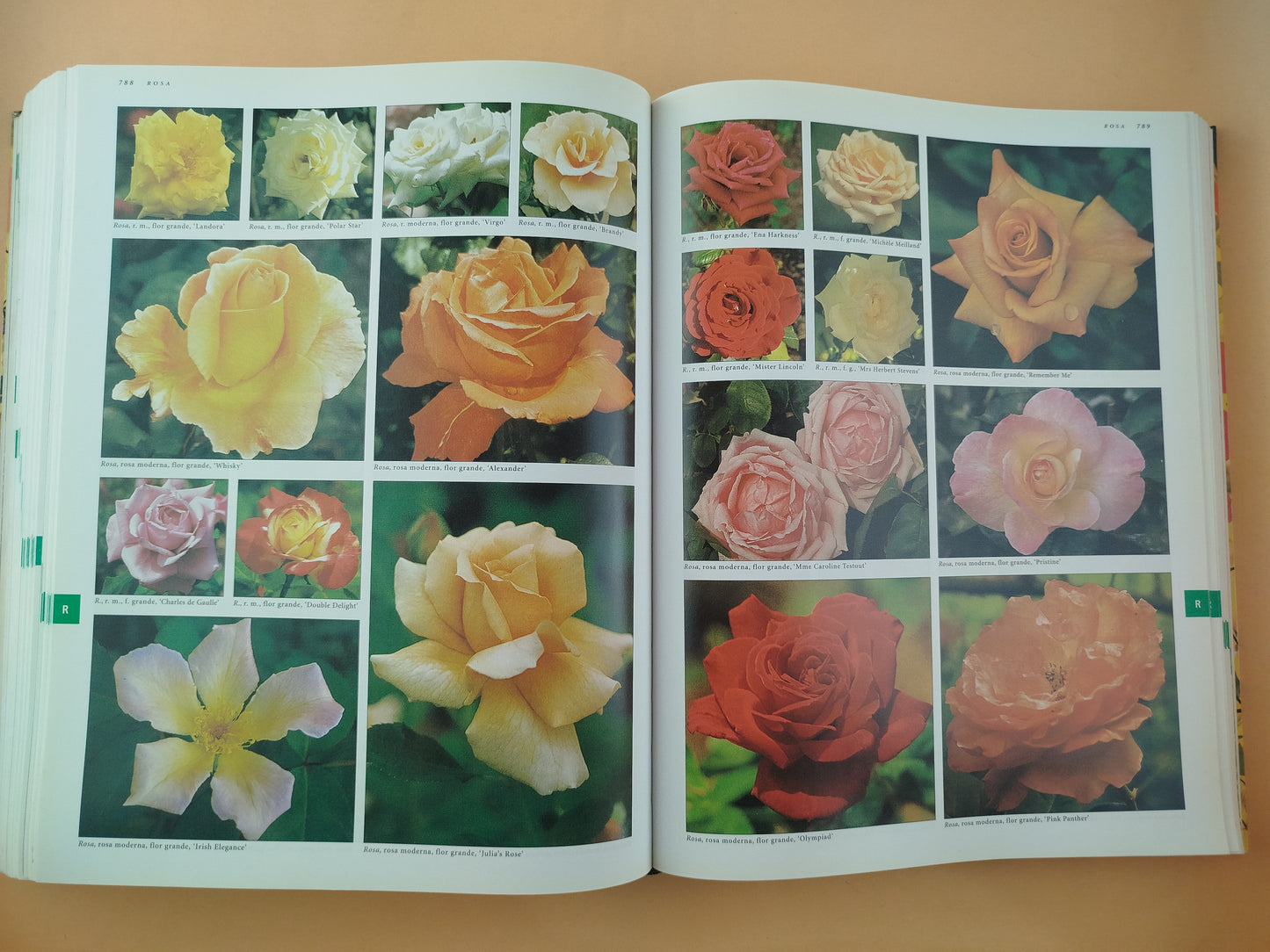 Botanica: Guia ilustrada de plantas