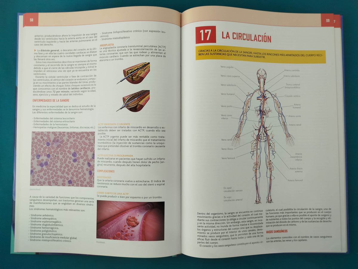Atlas de Anatomía El Cuerpo Humano y la Salud by GDL