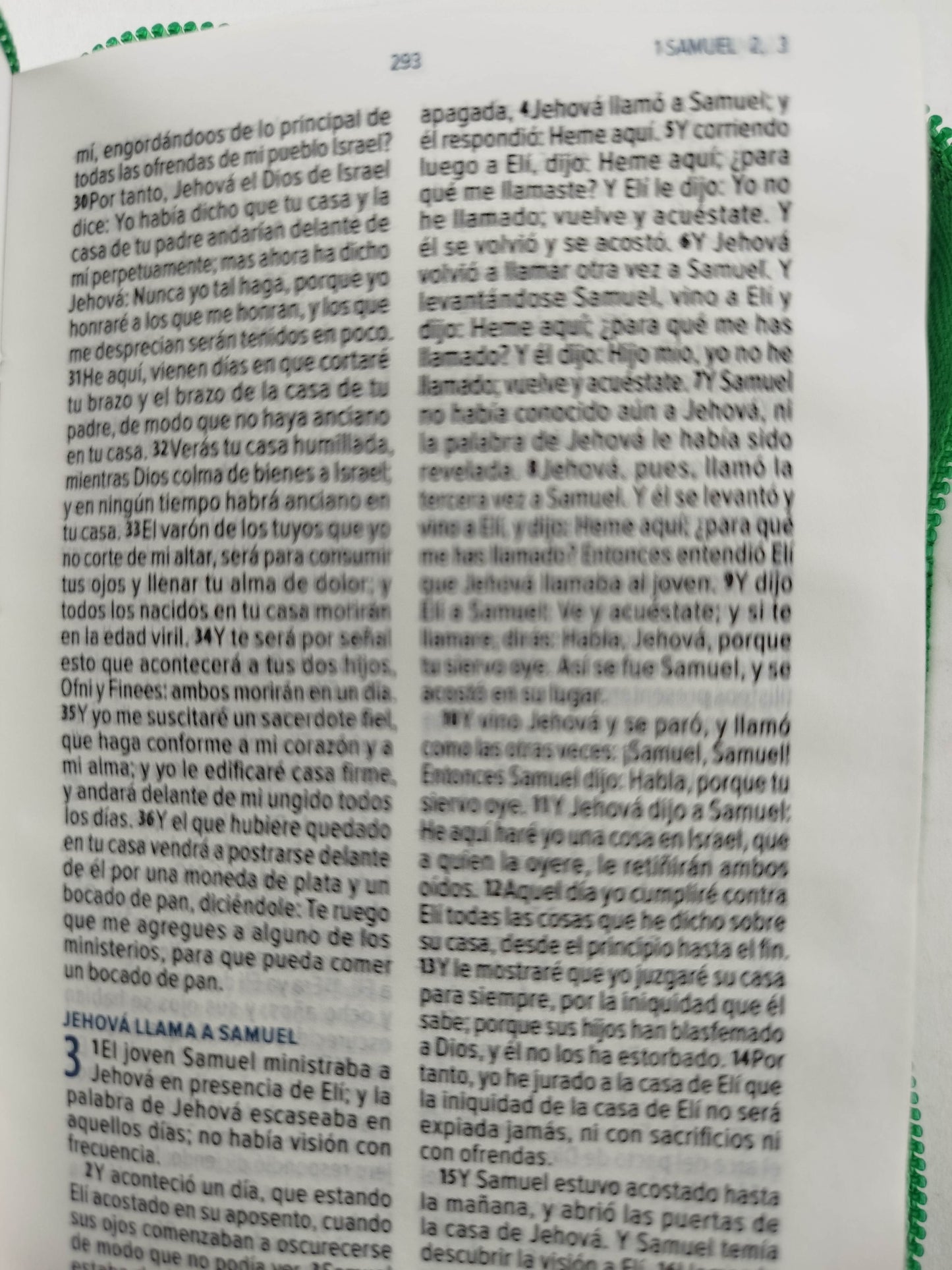 Biblia mini verde con cierre canto plateado by Reina Valera 1960