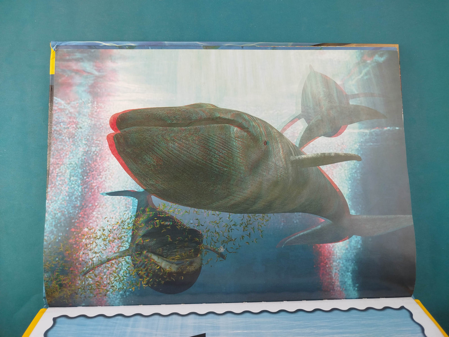 ¡Exploremos los Océanos del Mundo! 3D Incluye Lentes