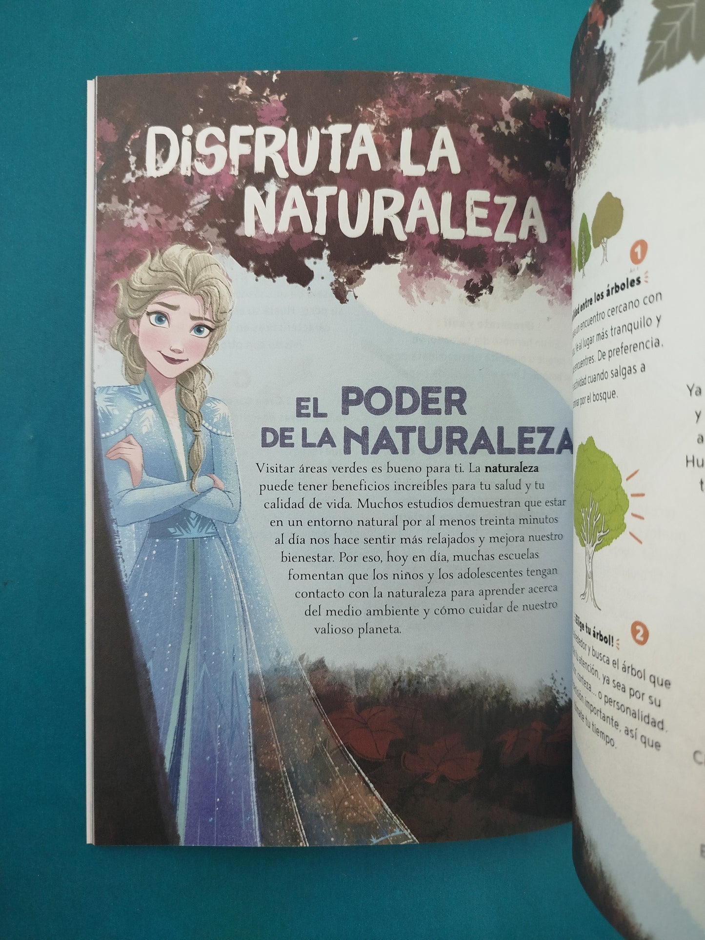 Frozen Crea Con La Naturaleza